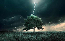 下雨打雷時(shí)我們躲在大樹底下為什么容易遭受雷擊？