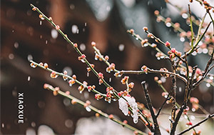 小雪時(shí)節(jié)寒氣重-保暖御寒為首要-易造防雷