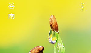 谷雨｜春生萬物長,雨落逢初夏-你準備好迎接夏天了嗎--易造防雷
